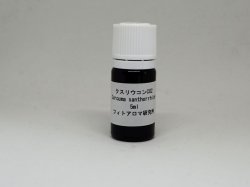 画像1: クスリウコンCO2 5ml（バイオレットボトル） 