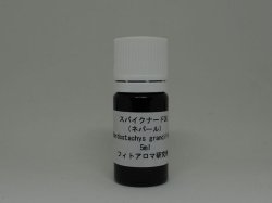 画像1: スパイクナードOG5ml・精油（バイオレットボトル） 