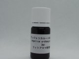 画像: アンジェリカルート（ドイツ）CO2有機2ml（バイオレットボトル）